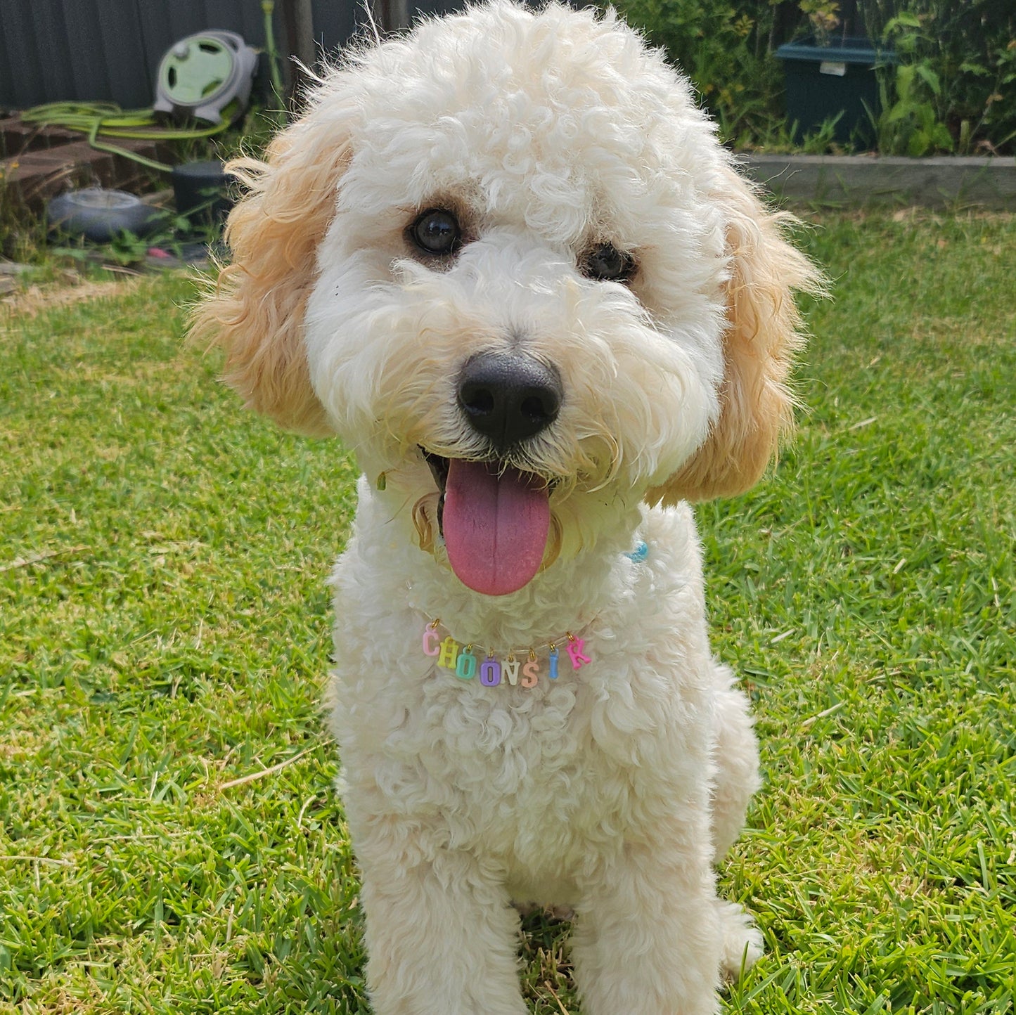 ROUND BEADED NECKLACE COLLAR