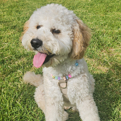 ROUND BEADED NECKLACE COLLAR
